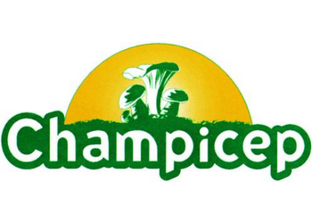 Champicep Logo Champicep